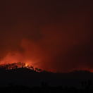 Bush fire image by Matt Palmer on unsplash https://unsplash.com/photos/BmDR21JiXhc Bush fire image by Matt Palmer on unsplash https://unsplash.com/photos/BmDR21JiXhc