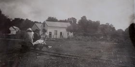 Parkes Shop: Our forest heritage