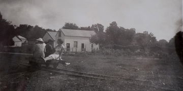 Parkes Shop: Our forest heritage