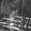A pitsaw in the Knysna Forests, possibly early 20th-Century A pitsaw in the Knysna Forests, possibly early 20th-Century
