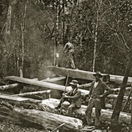 Woodcutters work a pit-saw in the Knysna Forests. Late 1800s Woodcutters work a pit-saw in the Knysna Forests. Late 1800s