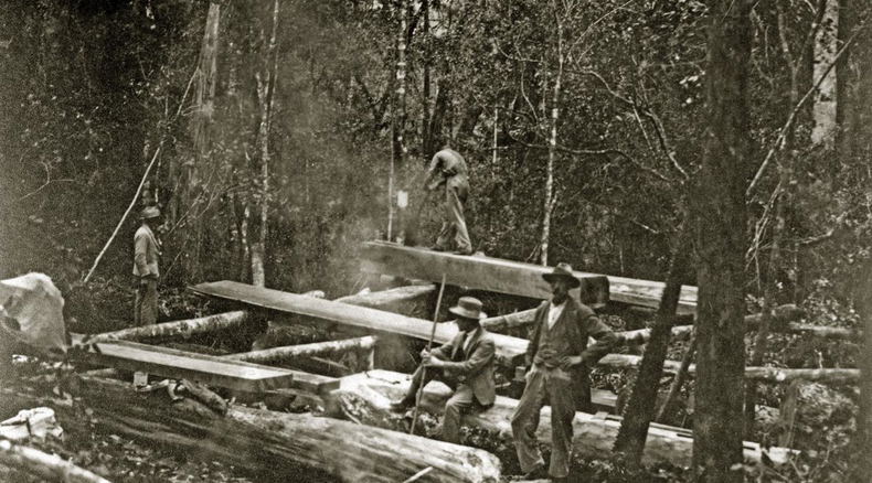 Woodcutters work a pit-saw in the Knysna Forests. Late 1800s Woodcutters work a pit-saw in the Knysna Forests. Late 1800s