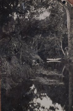 Rowing on a river in the Knysna Forest - Possibly Noetzie River. Historic images, Knysna