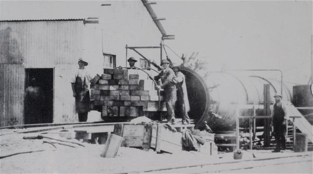 Railway sleepers from the Knysna Forests, early 20th Century