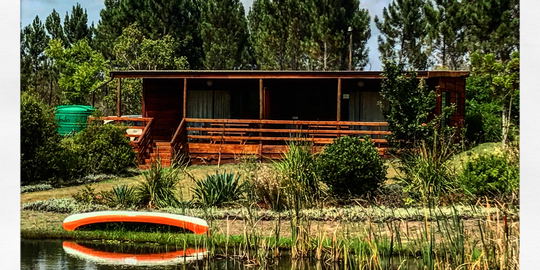 Ladybird Cottage
