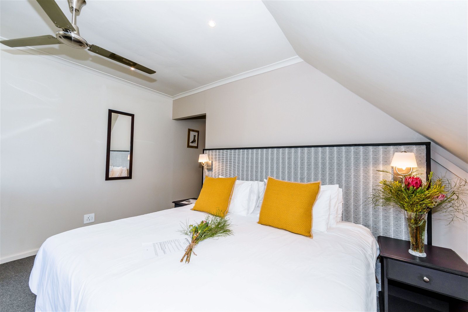 molo lolo, le petit chateau, hotel durbanville, durbanville, cape town, le petit chateau durbanville, hotel cape town