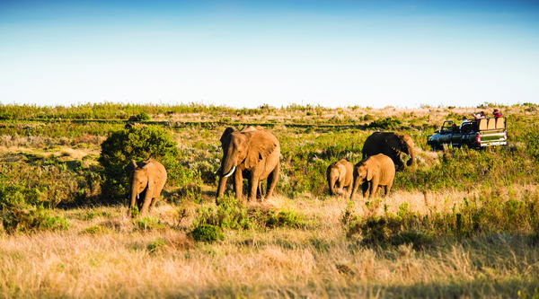 Gondwana Game Reserve