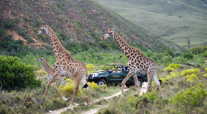 Gondwana Game Reserve Gondwana Game Reserve