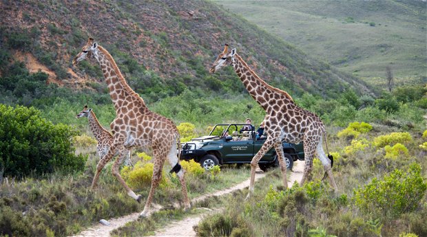 Gondwana Game Reserve Gondwana Game Reserve