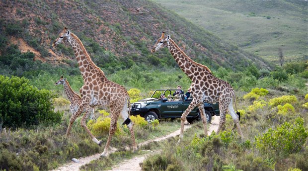 Gondwana Game Reserve