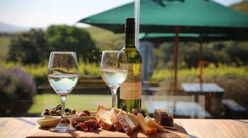 Wine tasting at stunning wine estates