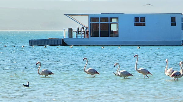 Harmony Houseboat