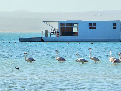 Harmony Houseboat