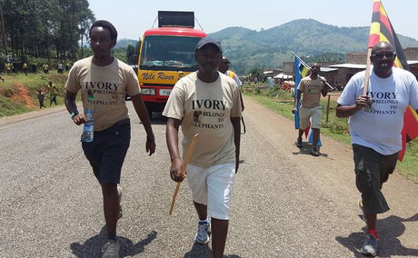 Ivory Belongs to Elephants, East Africa walk 2016