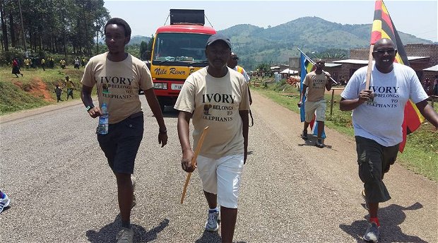 Ivory Belongs to Elephants, East Africa walk 2016