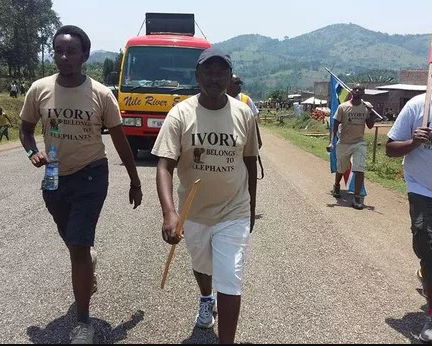 Ivory Belongs to Elephants