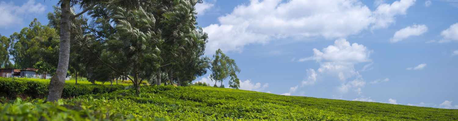 Responsible Tourism