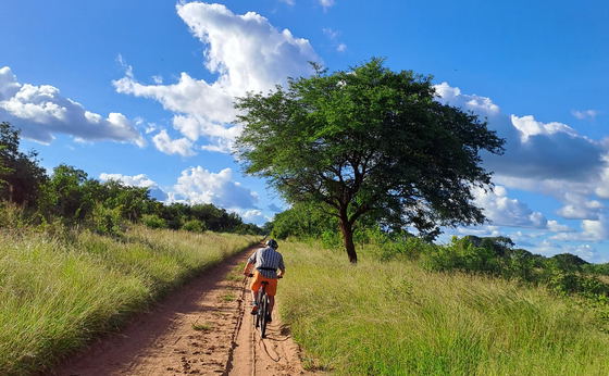 Wildlife Safari with Mountainbiking 