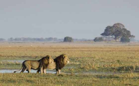 Kafue National Park from South to North