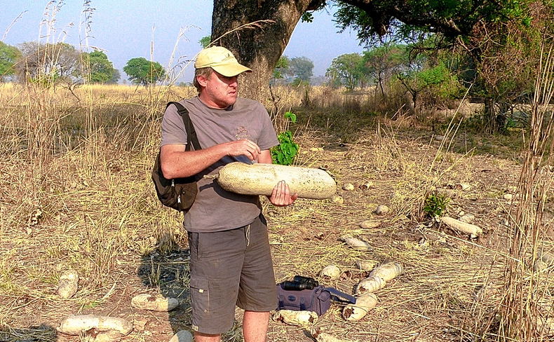 Bundu Safaris nature guide in South Luangwa National Park
