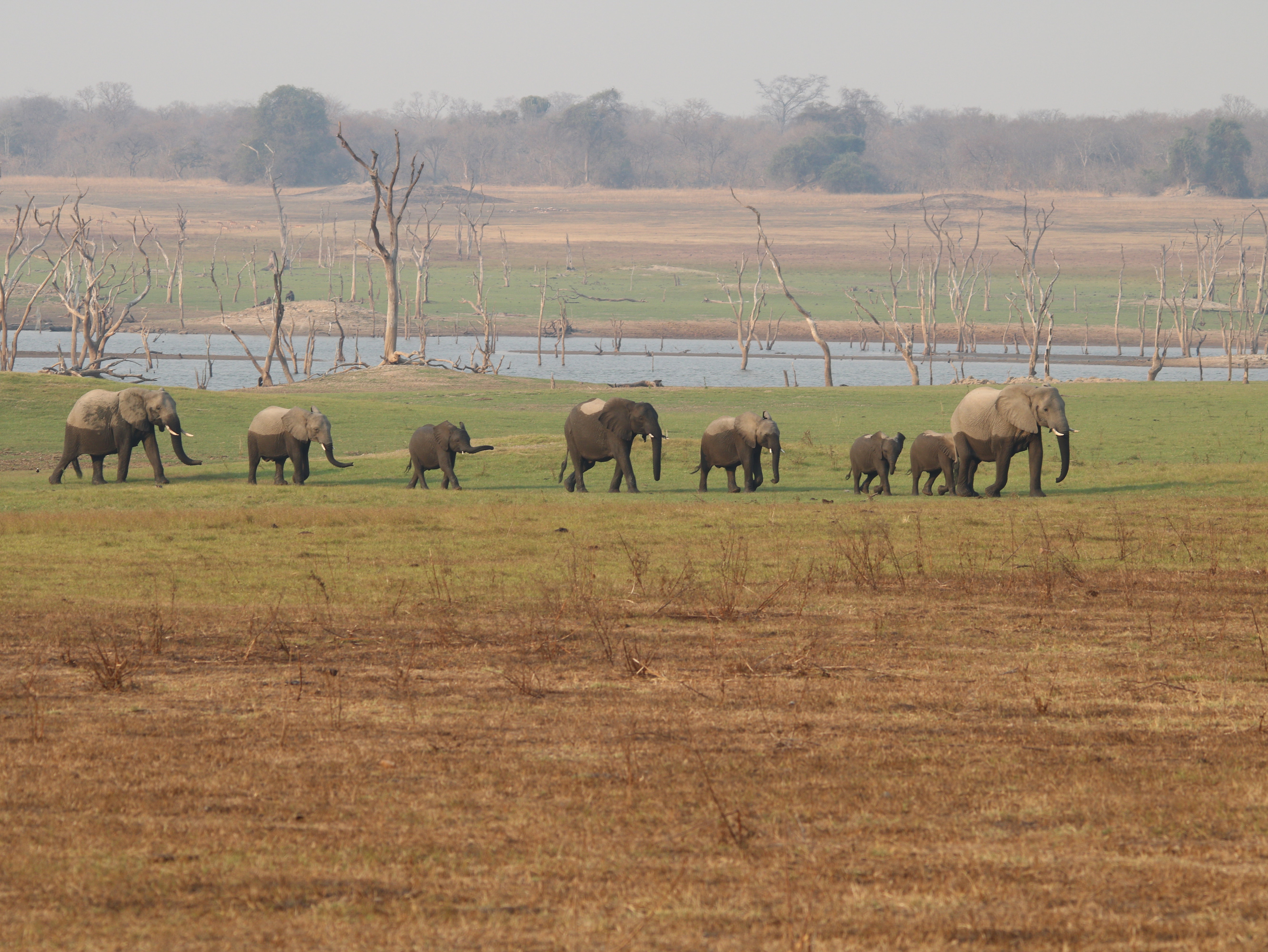 Kafue National Park Zambia 