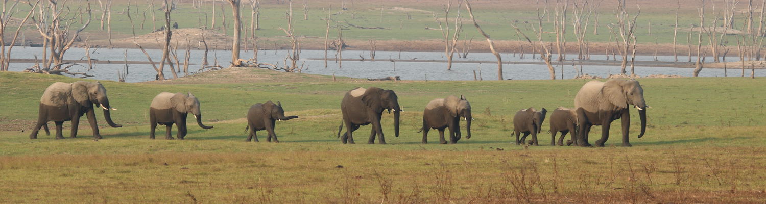 Kafue National Park Zambia