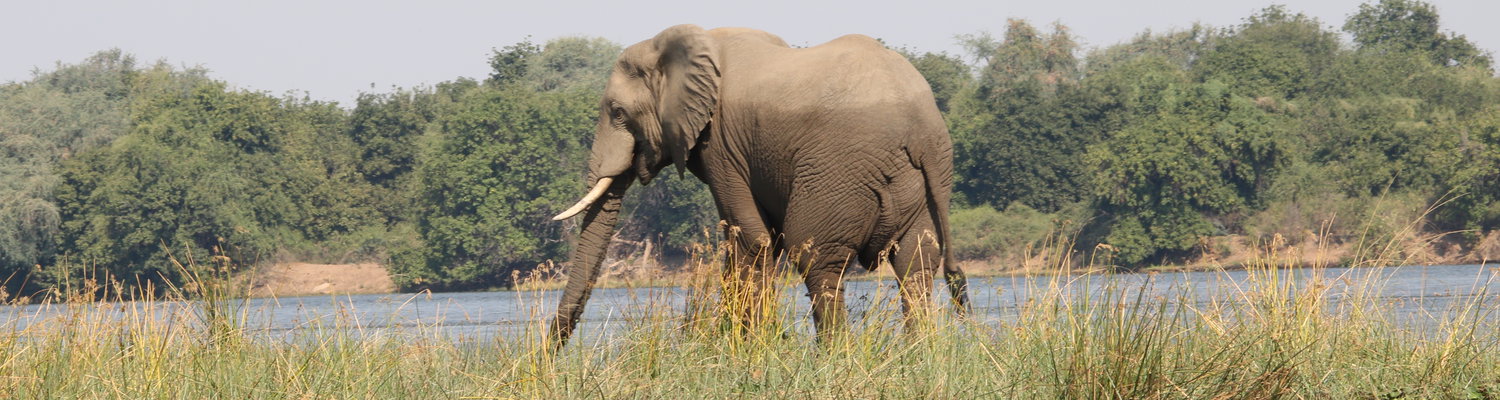 Lower Zambezi National Park