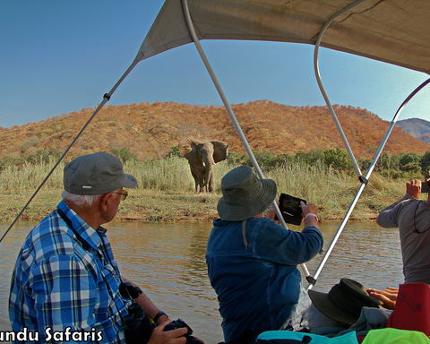 Mobile Safaris througout Zambia 