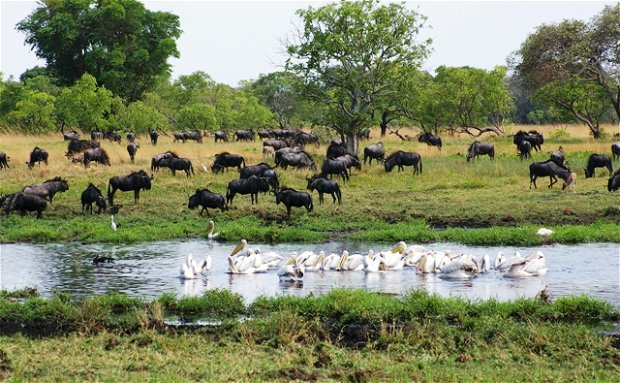 Liuwa Plains National Park Liuwa Plains National Park