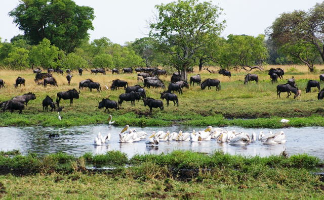 Liuwa Plains National Park Liuwa Plains National Park