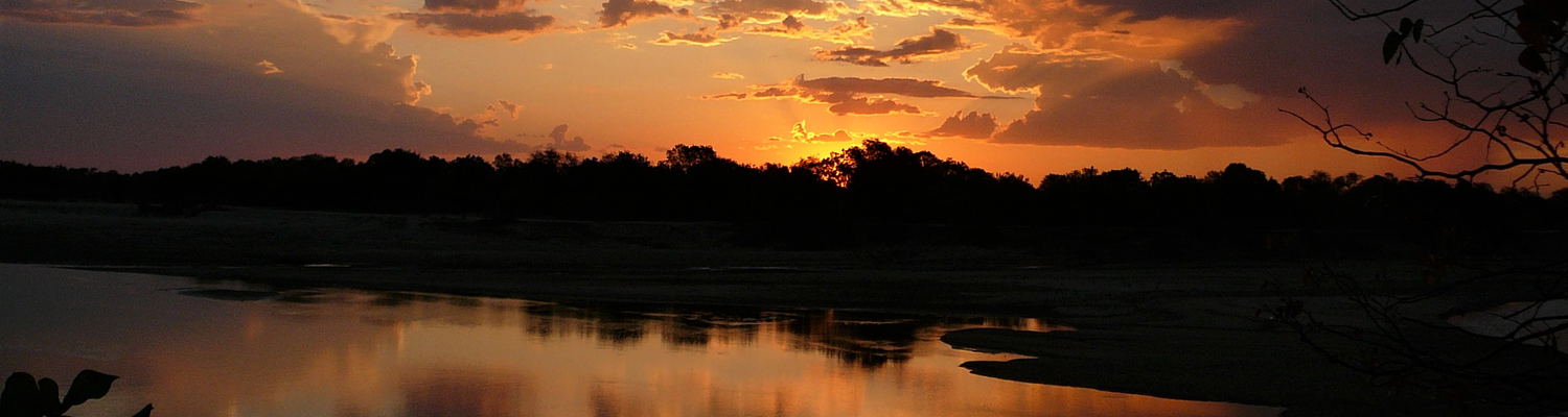 Adventure, Biking, Safari