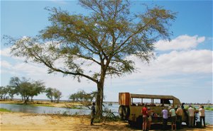 Tailormade Safaris
