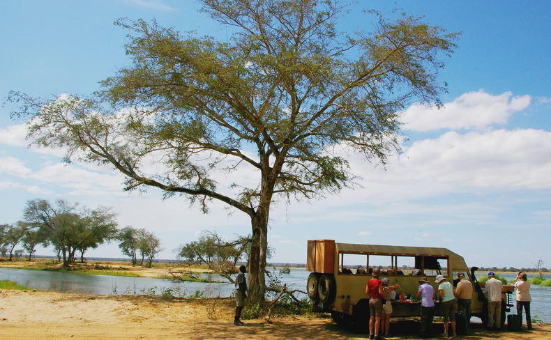 Bespoke safaris