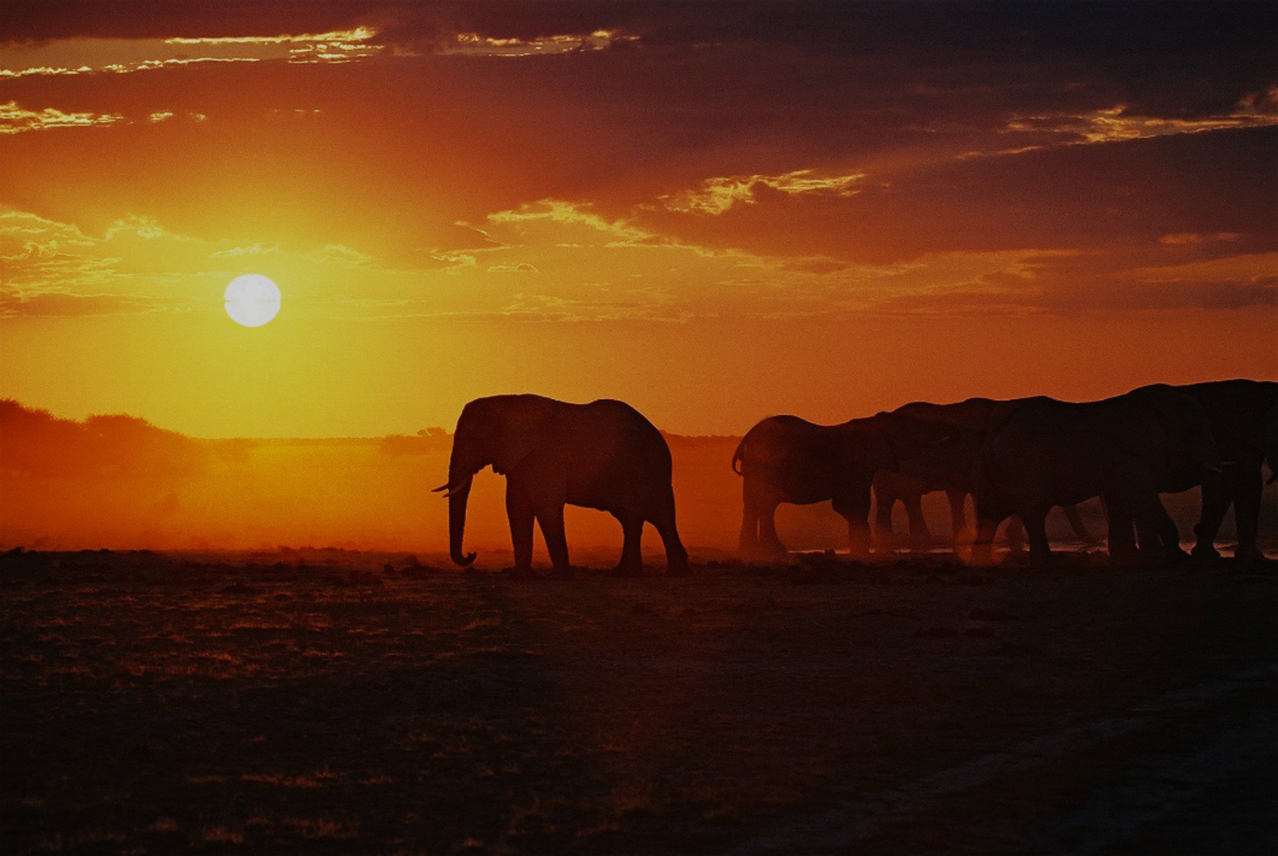 affordable lodge safari 