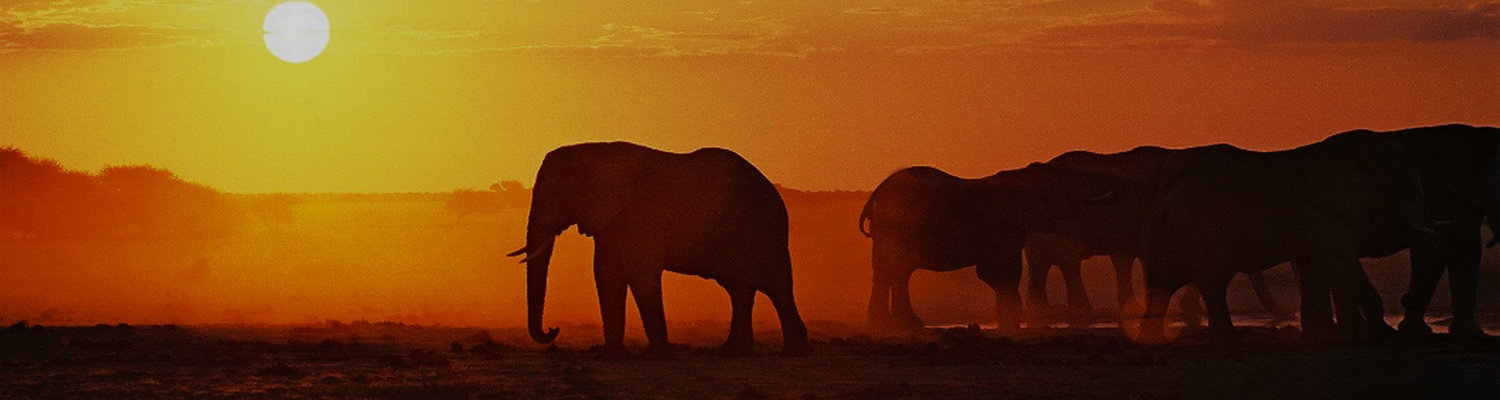 affordable lodge safari 