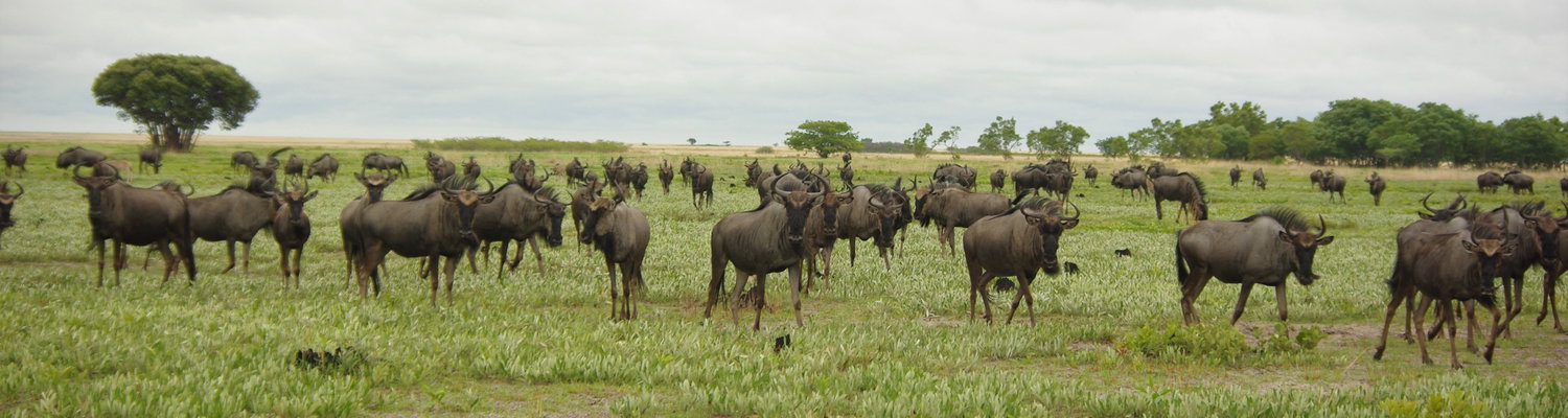 Liuwa Plains National Park 