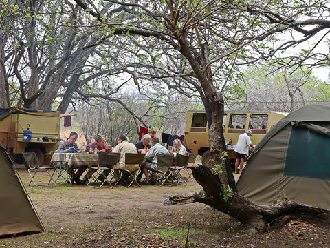 Our camp in the wilderness