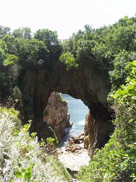 Nature's Arch. Featherbed Nature Reserve, Knysna