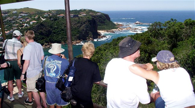 Featherbed Eco-experience guided walk. Featherbed Co. Knysna