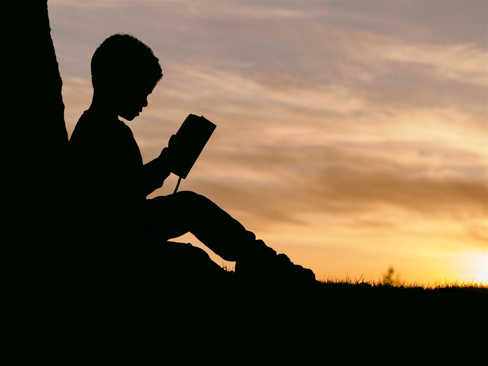 Mamlamo, Children's Novel, Martin Hatchuel