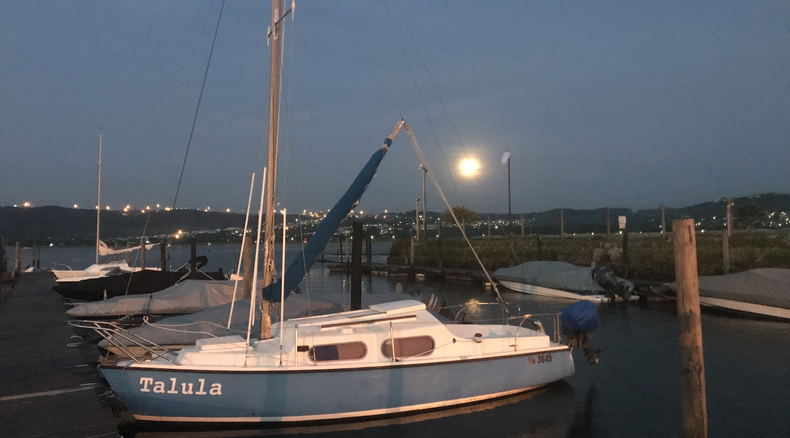Yacht Talula, a Vivacity 20 that stars in Martin Hatchuel's children's novel, 'It's a pity I didn't bring any swords'