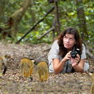 Lara Mostert, South African Animal Sanctuaries Alliance (SAASA); Monkeyland, Birds of Eden, Jukani Wildlife Sanctuary Lara Mostert, South African Animal Sanctuaries Alliance (SAASA); Monkeyland, Birds of Eden, Jukani Wildlife Sanctuary