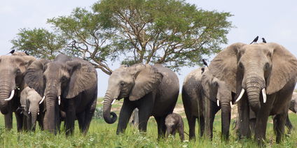 PAY FOR 14 DAYS AND GET 16 DAYS AS A SPECIAL OFFER 2023