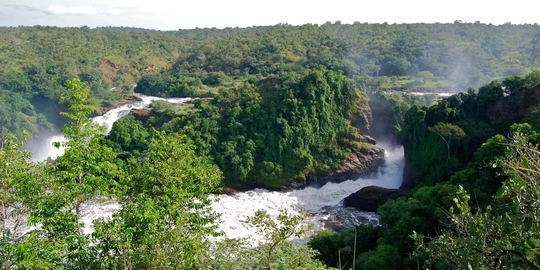9 Days Waterfalls and Apes