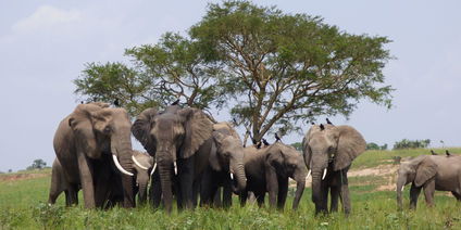 3 National Parks in 8 Days