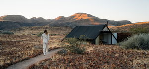 Black Friday Special