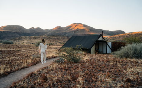 Black Friday Special