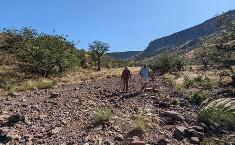 Hikes & Walking