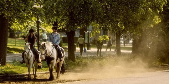 Horse Back Wine Tour