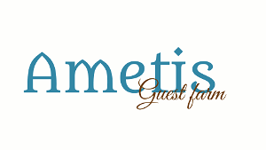 Ametis Guest Farm